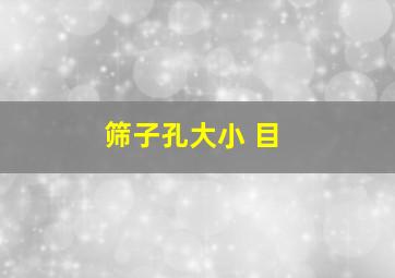 筛子孔大小 目